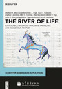 The River of Life - Sustainable Practices of Native Americans and Indigenous Peoples