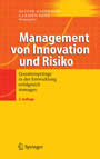 Management von Innovation und Risiko - Quantensprünge in der Entwicklung erfolgreich managen