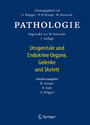Pathologie - Urogenitale und Endokrine Organe, Gelenke und Skelett