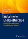 Industrielle Energiestrategie - Praxishandbuch für Entscheider des produzierenden Gewerbes