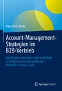 Account-Management-Strategien im B2B-Vertrieb - Kundenwert generieren und nachhaltige Geschäftsbeziehungen aufbauen - Methodik, Prozesse, Tools