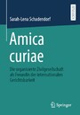 Amica curiae - Die organisierte Zivilgesellschaft als Freundin der internationalen Gerichtsbarkeit